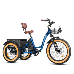 Bicicleta Eléctrica de Carga Híbrida TRIKE CARGO HYBRID 750 - Azul, con Doble Batería, Altas Ventas - Product Image 2