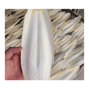 Alimento natural para mascotas 2024-Hueso de calamar seco-Hueso de sepia seco con buena oferta del proveedor principal en Vietnam 2024 - Product Image 6