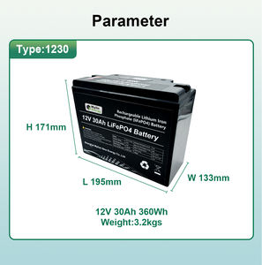 Batterie LiFePO4 51,2 V offrant une décharge stable pour les appareils distants, y compris les systèmes de surveillance et les stations de base de communication - Product Image 6