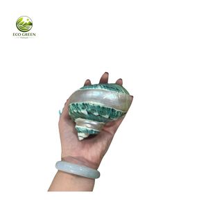เปลือกหอยธรรมชาติขัดเงาสีรุ้งแบบเป็นมิตรกับสิ่งแวดล้อม สำหรับงานฝีมือ DIY ตกแต่งบ้านสไตล์เฟิงสุ่ยสมัยใหม่ - Product Image 3