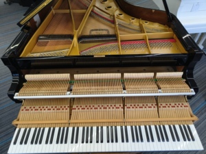 Piano à queue d'occasion de qualité supérieure Kawai KG7D Excellent état Livraison rapide Finition élégante d'origine Touches lisses - Product Image 6