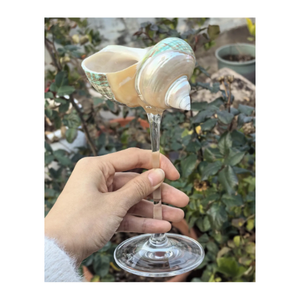 Verres en coquillage Verre peint à la main du Vietnam Idéal pour les maisons côtières et les boutiques de cadeaux - Product Image 2