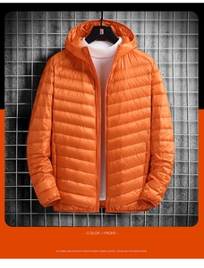 Chaqueta acolchada de pato blanco 90% ultraligera para hombre, Abrigo acolchado con cuello levantado a la moda coreana para primavera e invierno - Product Image 6