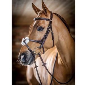 Bride en cuir pour chevaux conçue sur mesure - Product Image 1