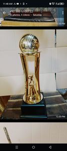 Stainless Steel Sports <b>Trophy</b> <b>Cup</b> Customized Achievement Award Display Durable Premium Quality - Product Image 6