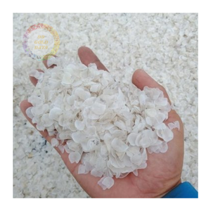 เครื่องชั่งปลาขนาดใหญ่สำหรับอุตสาหกรรมอาหารและความงามรับประกันคุณภาพและความสดใหม่ - Product Image 4