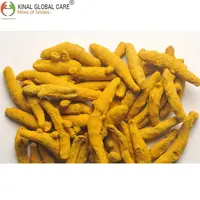 Dito di curcuma indiano qualità di buona qualità dito di curcuma crudo fresco a basso tasso disponibile