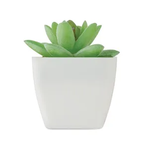Artigrap Pianta Artificiale Personalizzata in Miniatura, Gadget Personalizzati nella Categoria Vegetazione - Product Image 4