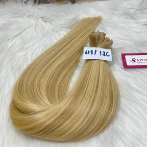 MEILLEUR PRODUIT Balayage Couleur Personnalisée 100% Double Drawn Qualité Vietnamienne Vague Naturelle Remy Chinois Sans Nœuds Sans Perte Unique - Product Image 1