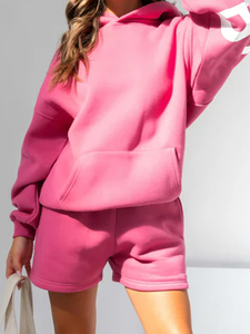 2026 Plus Sized <b>Hoodie</b> Custom 3d Puff Print logo High Quality 450gsm Oversized Heavyweight <b>Hoodie</b> Streetwear Distressed <b>Hoodie</b> - Product Image 2