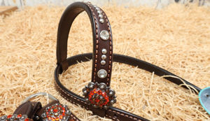 Conjunto de Cabezada y Pechopetral de Lujo para Caballo Estilo Western, Cuero de Primera Calidad con Pedrería, Hecho a Mano, Personalizado, Equipo Ecuestre - Product Image 2