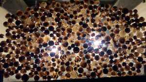 Boutons en corne naturelle écologiques avec 2 trous pour chemises, manteaux d'hiver et pulls - Fabriqués à la main à prix avantageux - Product Image 3