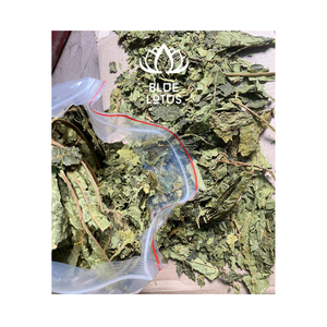 Top Extrait de feuille de papaye séchée Poudre de papaye séchée Vente en gros PRODUITS AGRICOLES Herbes DU Viet Nam - Product Image 1