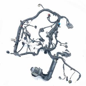 Cablaggio Motore FORD EcoSport Serie JN15-12C508-BE SFJL Benzina 1000 (12>) - Product Image 1