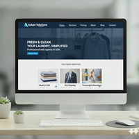 Agence Web professionnelle américaine de conception de site Web de blanchisserie ou de nettoyage à sec offrant des solutions de site Web en ligne abordables et efficaces