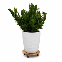 Soporte para Plantas de Madera de Acacia con Ruedas Giratorias de 360 Grados, Soporte Circular Rectangular para Flores de Exterior, Diseño Rústico, Capacidad de 120 kg para Uso en Jardín