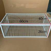 Cage de capture pliable galvanisée pour oiseaux, piège à pigeons sauvages à entrée unidirectionnelle, capture humaine des pigeons et colombes en cage
