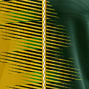 Chaqueta Deportiva Personalizada con Estampado por Transferencia de Calor para Hombre, Ligera, Cortavientos, Talla Grande, para Verano, con Cremallera Completa, 100% Poliéster - Product Image 6