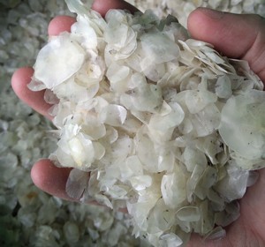 ขนาดปลากะพงขาวจากแม่น้ำโขง ossein สำหรับอุตสาหกรรมอาหารคอลลาเจนจาก99โกลด์ดาต้าเวียดนาม - Product Image 2