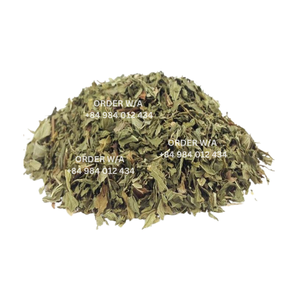 Ahorre en Pedidos al por Mayor de Hojas de Papaya, Disfrute de Precios Económicos para Té de Hoja de Papaya Seca en Grandes Cantidades, Granja Orgánica de Vietnam - Product Image 4