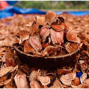 Caulis spatholobi/đích thực sản phẩm thảo dược/tốt nhất số lượng lớn giá/sản xuất tại Việt Nam - Product Image 2