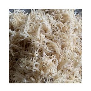 Low Price Cottonii Seaweed Grade Premium 100% <b>Dried</b> Sea <b>Moss</b>/ Irish <b>Moss</b>/ Eucheuma Cottonii - Product Image 4