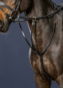 Horsekraft Premium Cuir Performance Training Circonférence Carré Surélevé Boucles en laiton Réglable Côté Fantaisie Durable pour la course - Product Image 2