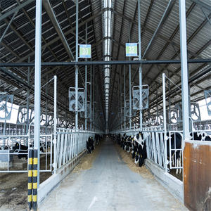 גדול תוחלת פלדת מבנה ייצור עיזים לשפוך - Product Image 5