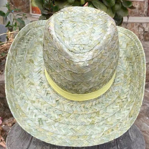 Wholesale Multi-Coloured Cowboy Style <b>Sombrero</b> <b>Hat</b> Custom Logo Grass Material for Business and Party Decorations - Product Image 1