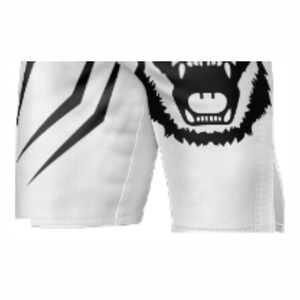 All Over Print and logo Designing Summer Basketball Custom Men workout Gym Mesh Graphic Sweat Sublimation Mens Shorts - Product Image 5