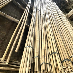 Venta al por mayor de palos de bambú baratos de Vietnam Bao Tram Anh proveedor de productos agrícolas - Product Image 2