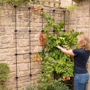 Treillis de jardin en métal, support élégant pour plantes d'extérieur, améliorant l'organisation du jardin et l'efficacité de la croissance verticale - Product Image 1