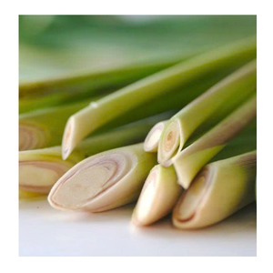 IQF Frozen Lemongrass Sliced And Frozen Lemongrass Chopped For Food Industry Frozen Lemongrass Wholesale Vietnam - Product Image 4