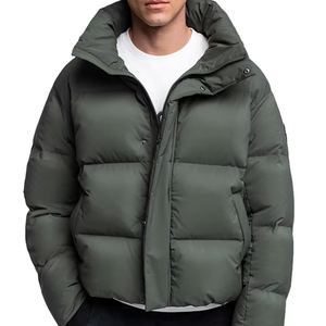 Offre Spéciale personnalisé hommes hiver chaud col montant Polyester coupe-vent vers le bas manteau à capuche bouffant veste hommes vêtements tissu veste 2026 - Product Image 1