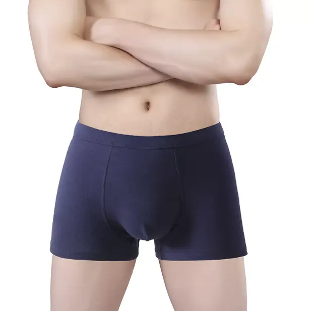 Bas quantité minimale de commande prix de gros ceinture élastique sous-vêtements lettre imprimer boxer garçons sous-vêtements transparents boxer caleçons