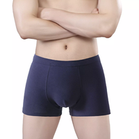 Boxer Homme Taille Haute Transparent avec Ceinture Élastique Respirant Anti-Bactérien Anti-Statique Séchage Rapide Tricoté 180 GSM