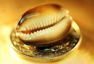 Coquilles de cauri naturelles sur mesure de formes et de tailles assorties adaptées aux créateurs de bijoux, à l'art et à l'artisanat - Product Image 4
