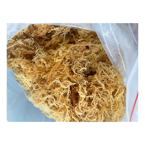 Mousse de mer séchée non piquante non salée Mousse irlandaise du Vietnam pour la préparation de gel naturel Smoothies et utilisations de salade d'algues - Product Image 6