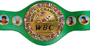 WWE เข็มขัดแชมป์โลกผลิตจากโรงงานผลิตเข็มขัดสำหรับมวยปล้ำมวยปล้ำมวยปล้ำชกมวย MMA แบบสั่งทำ - Product Image 2