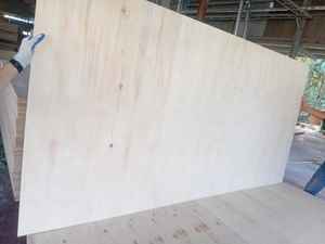 Madera Contrachapada de Estirax de Grado de Embalaje al Mejor Precio, Lámina de Madera Contrachapada Combinada de Madera Dura de 4x8, Superficie Sin Acabado, 9 mm, 12 mm, 15 mm, 18 mm, Madera Contrachapada Cruda - Product Image 6