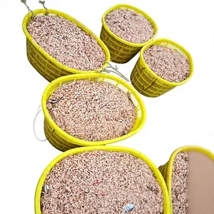 VAN BACH TUNG Camarones Secos de Vietnam 1kg envasados al vacío, 12+ meses de duración, conservar en lugar fresco y seco, listos para usar, 100% Premium Natural OEM - Product Image 3