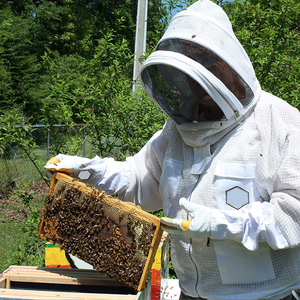 Gants de protection pour apiculteur avec manchette ventilée en maille pour les activités de plein air, gants anti-piqûres pour apiculteurs - Product Image 5