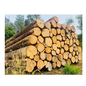 Fresh Cut Teak Wood <b>Logs</b> – Natural Hardwood Timber for Industrial and Commercial Use - Product Image 1