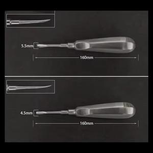 Kit de extracción de raíz de elevador Dental de 10 piezas, instrumentos de ortodoncia para eliminación de aflojamiento de dientes, instrumentos quirúrgicos básicos - Product Image 2
