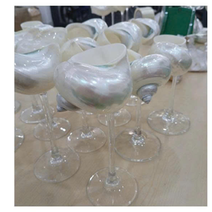 เปลือกหอยจริงที่เป็นมิตรกับสิ่งแวดล้อมสำหรับตกแต่งตู้ปลาสวนและธีมชายหาดมีให้เลือกหลายขนาดสีและบรรจุภัณฑ์แบบกำหนดเอง - Product Image 3