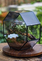 Terrarium de table en verre fait main, avec grille métallique noire pour une meilleure aération des plantes