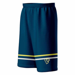 Summer Basic Sport Quick Dry 100% Polyester Designer Imprimé Unisex Mesh Shorts Custom Men's Basketball Shorts 2025 - Product Image 3