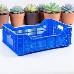 DPK09: Cajas de plástico para frutas - Product Image 2
