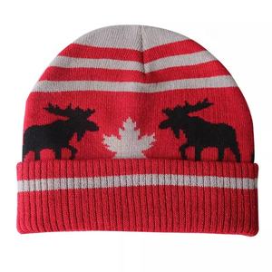 Gorro de invierno para niños bordado de punto cálido de calidad superior de alta calidad, gorros para niños con logotipo bordado, golf, clima frío - Product Image 4