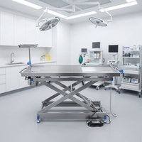 Table d'opération vétérinaire électrique en acier inoxydable 304, lit de chirurgie pour animaux de petite taille pour hôpital vétérinaire, pédale ACS02